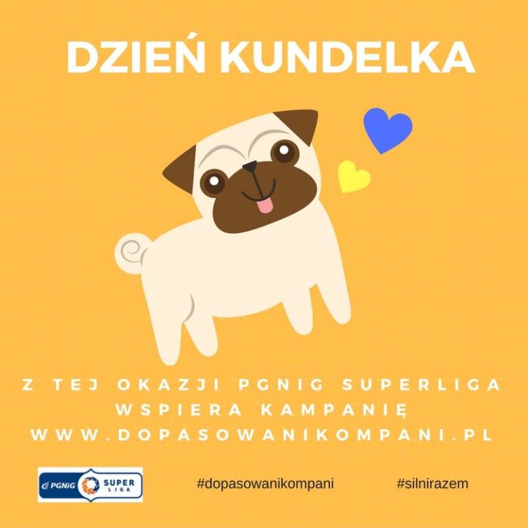 KAMPANIA PROMUJĄCA ODPOWIEDZIALNĄ ADOPCJĘ PSÓW